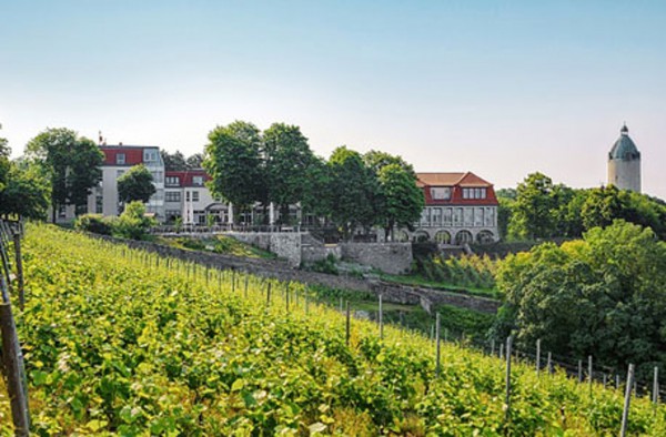 Weinprobe mit Übernachtung in Freyburg für 2