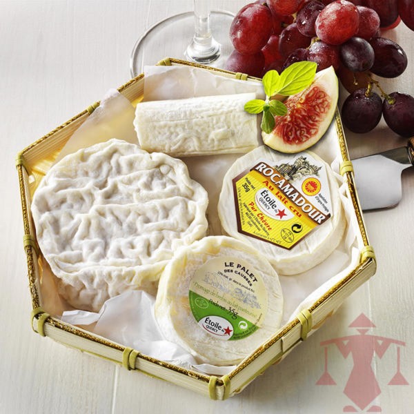 Französische Käse-Kompositionen