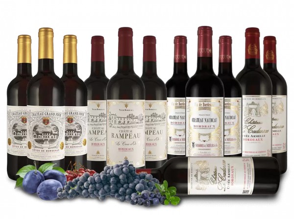 Entdeckerpaket Bordeaux-Rotweine
